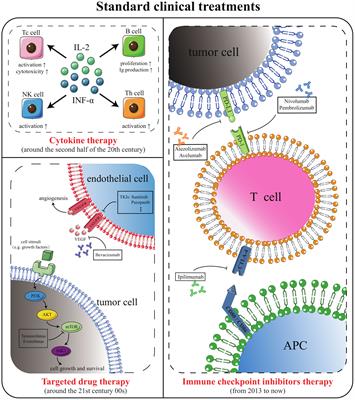 Treatment strategies for clear cell renal cell carcinoma: Past, present and future